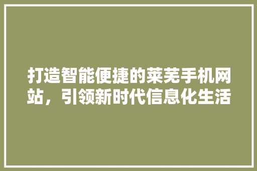 打造智能便捷的莱芜手机网站，引领新时代信息化生活 MySQL