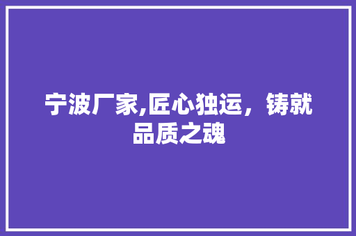 宁波厂家,匠心独运，铸就品质之魂