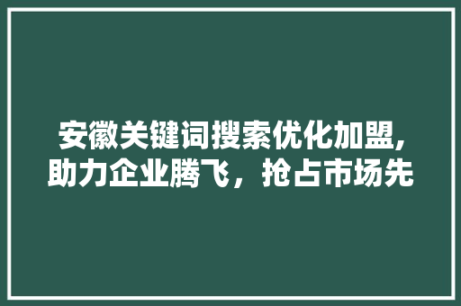 安徽关键词搜索优化加盟,助力企业腾飞，抢占市场先机