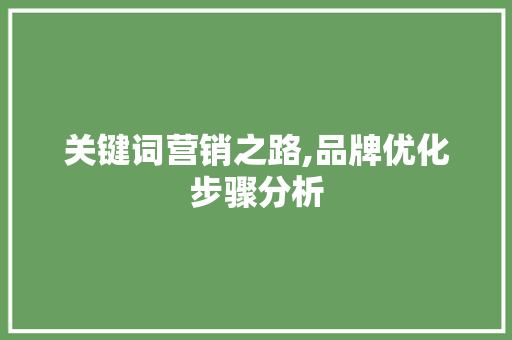 关键词营销之路,品牌优化步骤分析