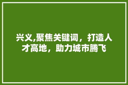 兴义,聚焦关键词，打造人才高地，助力城市腾飞
