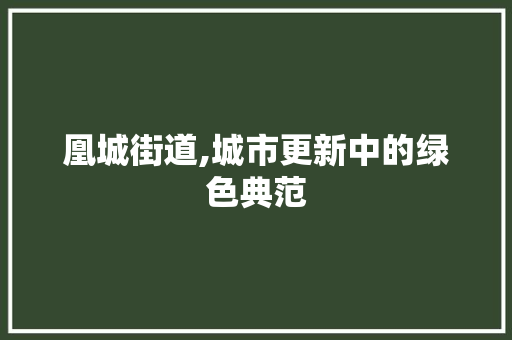 凰城街道,城市更新中的绿色典范