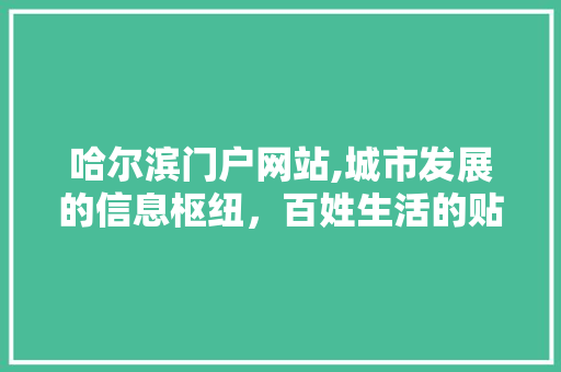 哈尔滨门户网站,城市发展的信息枢纽，百姓生活的贴心助手