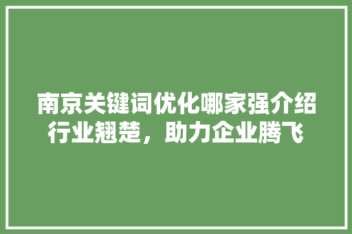 南京关键词优化哪家强介绍行业翘楚，助力企业腾飞