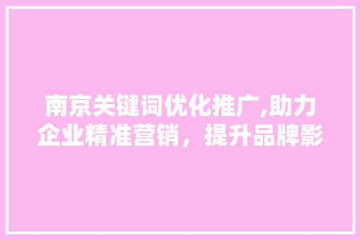 南京关键词优化推广,助力企业精准营销，提升品牌影响力