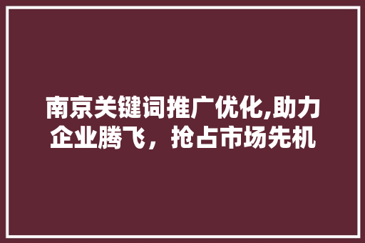 南京关键词推广优化,助力企业腾飞，抢占市场先机