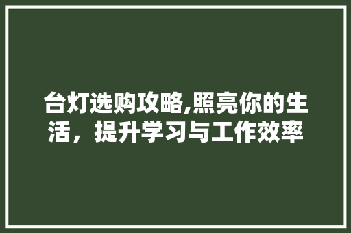 台灯选购攻略,照亮你的生活，提升学习与工作效率
