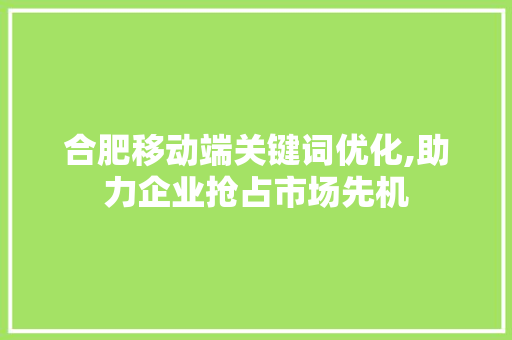 合肥移动端关键词优化,助力企业抢占市场先机