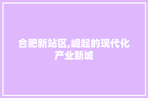 合肥新站区,崛起的现代化产业新城