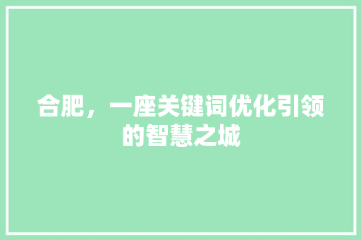 合肥，一座关键词优化引领的智慧之城