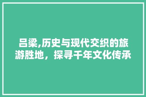 吕梁,历史与现代交织的旅游胜地，探寻千年文化传承