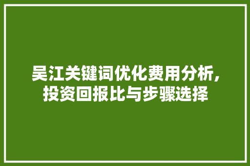 吴江关键词优化费用分析,投资回报比与步骤选择