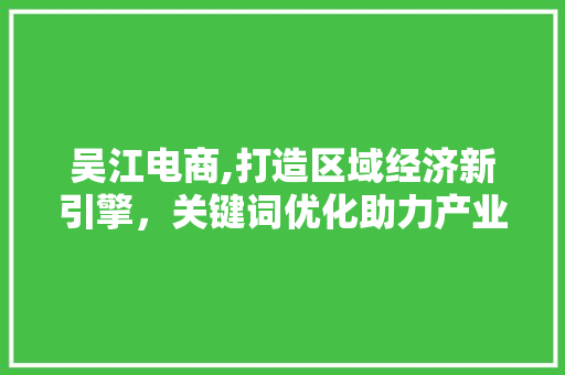 吴江电商,打造区域经济新引擎，关键词优化助力产业发展