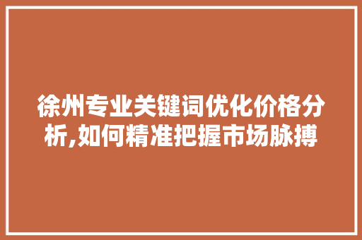 徐州专业关键词优化价格分析,如何精准把握市场脉搏