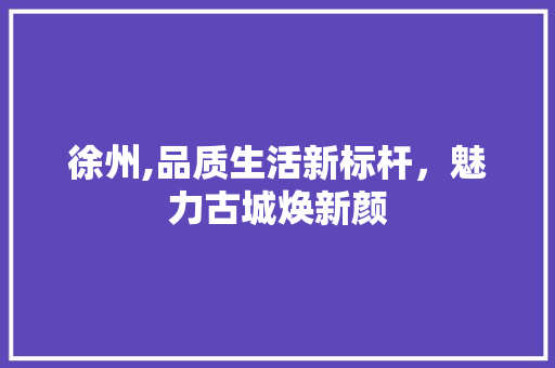 徐州,品质生活新标杆，魅力古城焕新颜 MySQL