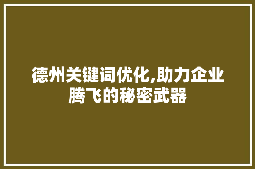 德州关键词优化,助力企业腾飞的秘密武器