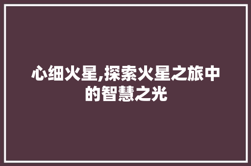 心细火星,探索火星之旅中的智慧之光