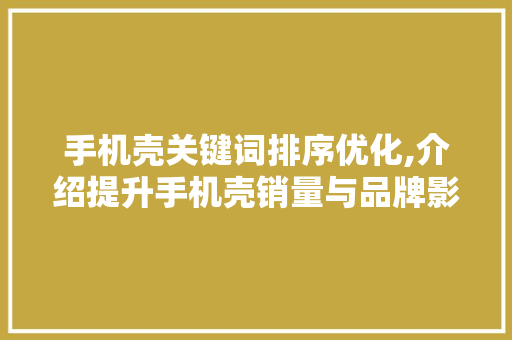 手机壳关键词排序优化,介绍提升手机壳销量与品牌影响力的秘密武器
