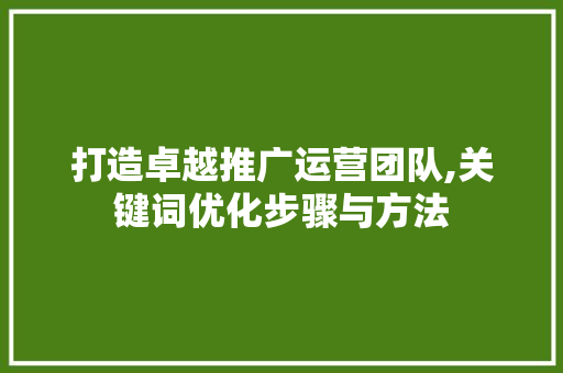 打造卓越推广运营团队,关键词优化步骤与方法