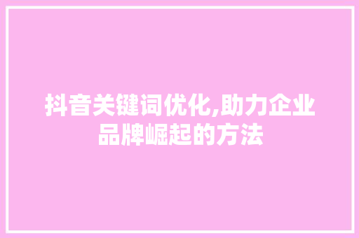 抖音关键词优化,助力企业品牌崛起的方法