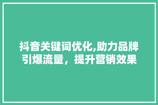 抖音关键词优化,助力品牌引爆流量，提升营销效果