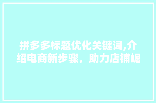 拼多多标题优化关键词,介绍电商新步骤，助力店铺崛起