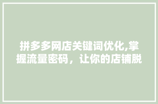 拼多多网店关键词优化,掌握流量密码，让你的店铺脱颖而出 MySQL