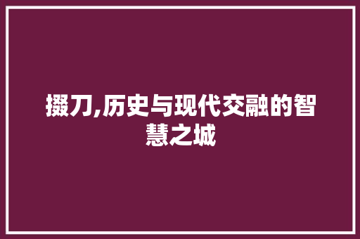 掇刀,历史与现代交融的智慧之城 MySQL