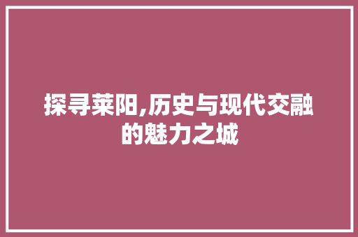 探寻莱阳,历史与现代交融的魅力之城 MySQL