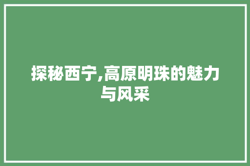 探秘西宁,高原明珠的魅力与风采