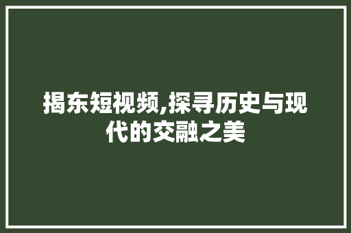 揭东短视频,探寻历史与现代的交融之美