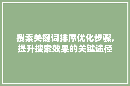 搜索关键词排序优化步骤,提升搜索效果的关键途径