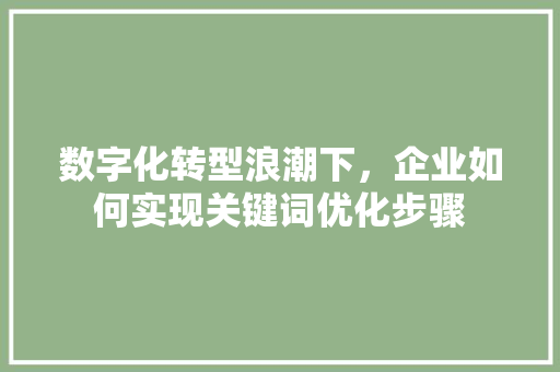 数字化转型浪潮下，企业如何实现关键词优化步骤