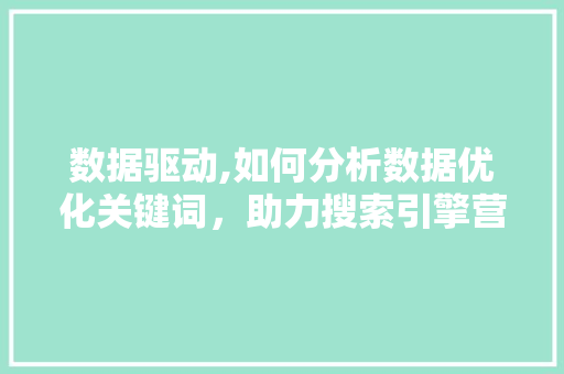 数据驱动,如何分析数据优化关键词，助力搜索引擎营销