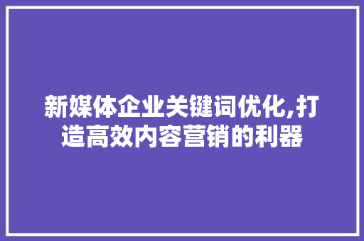 新媒体企业关键词优化,打造高效内容营销的利器