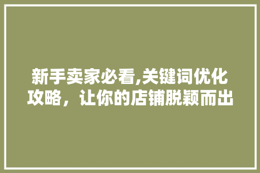 新手卖家必看,关键词优化攻略，让你的店铺脱颖而出