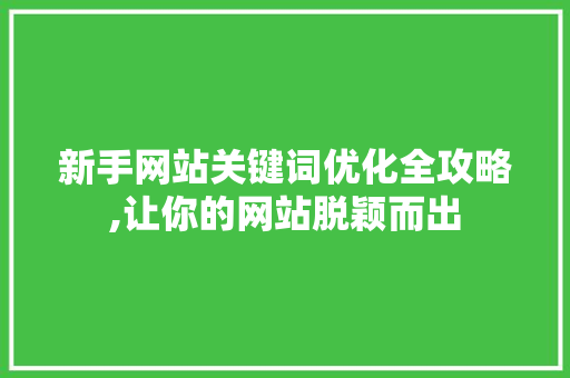 新手网站关键词优化全攻略,让你的网站脱颖而出