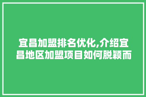 宜昌加盟排名优化,介绍宜昌地区加盟项目如何脱颖而出