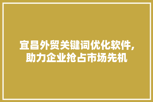 宜昌外贸关键词优化软件,助力企业抢占市场先机