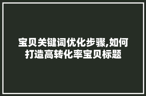 宝贝关键词优化步骤,如何打造高转化率宝贝标题