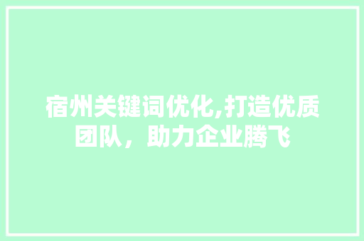 宿州关键词优化,打造优质团队，助力企业腾飞