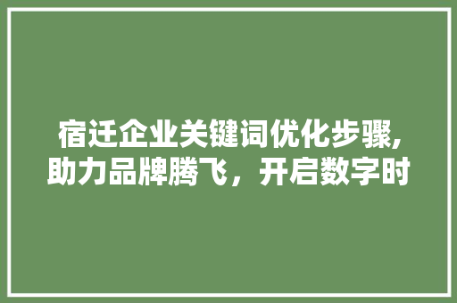 宿迁企业关键词优化步骤,助力品牌腾飞，开启数字时代新篇章