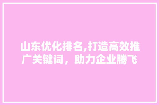 山东优化排名,打造高效推广关键词，助力企业腾飞