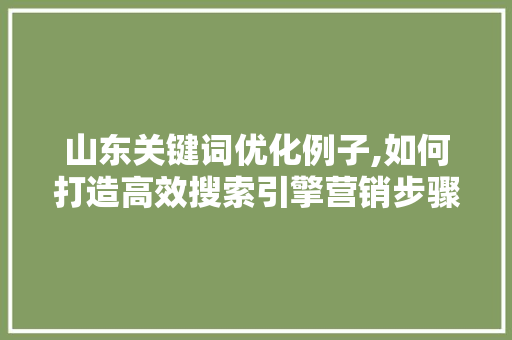 山东关键词优化例子,如何打造高效搜索引擎营销步骤
