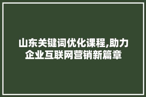 山东关键词优化课程,助力企业互联网营销新篇章