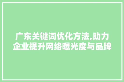广东关键词优化方法,助力企业提升网络曝光度与品牌影响力