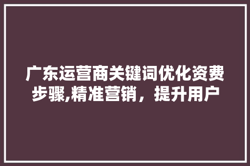 广东运营商关键词优化资费步骤,精准营销，提升用户体验