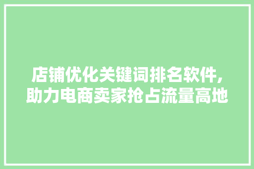 店铺优化关键词排名软件,助力电商卖家抢占流量高地