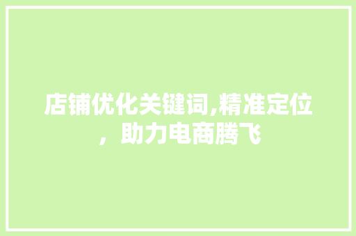 店铺优化关键词,精准定位，助力电商腾飞