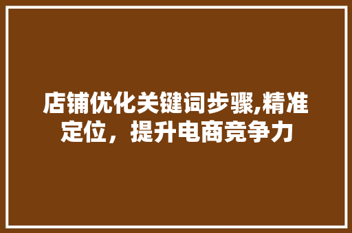 店铺优化关键词步骤,精准定位，提升电商竞争力